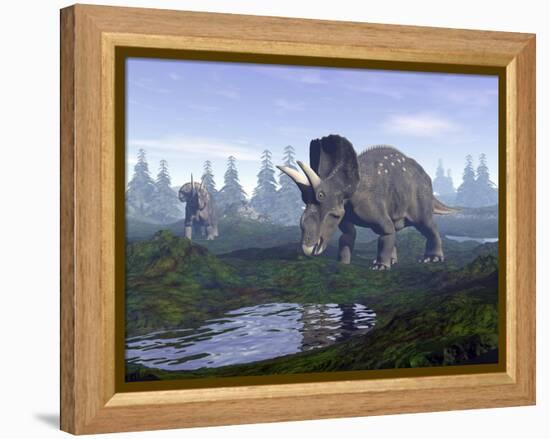 Two Nedoceratops Dinosaurs Walking to Water Puddle in the Morning Light-null-Framed Stretched Canvas