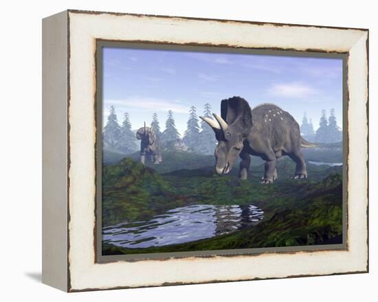 Two Nedoceratops Dinosaurs Walking to Water Puddle in the Morning Light-null-Framed Stretched Canvas