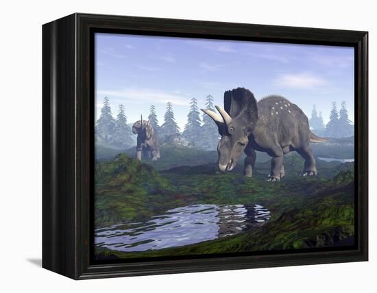 Two Nedoceratops Dinosaurs Walking to Water Puddle in the Morning Light-null-Framed Stretched Canvas