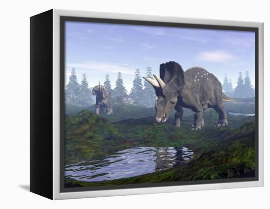 Two Nedoceratops Dinosaurs Walking to Water Puddle in the Morning Light-null-Framed Stretched Canvas