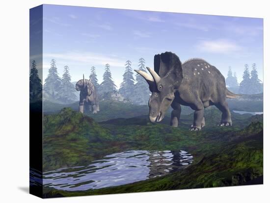 Stretched Canvas Print, , large