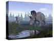 Stretched Canvas Print