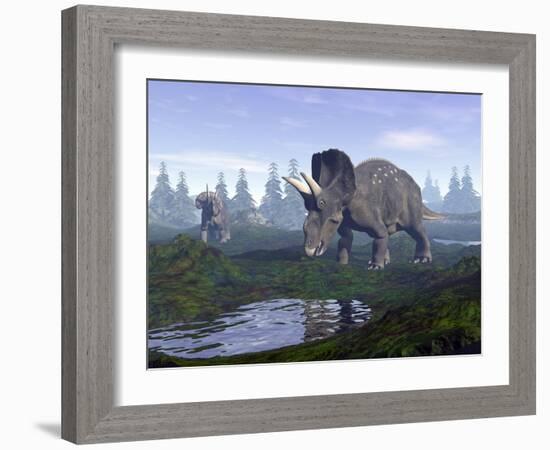 Two Nedoceratops Dinosaurs Walking to Water Puddle in the Morning Light-null-Framed Art Print