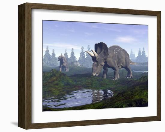 Two Nedoceratops Dinosaurs Walking to Water Puddle in the Morning Light-null-Framed Art Print