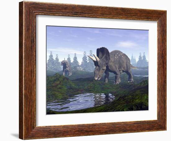 Two Nedoceratops Dinosaurs Walking to Water Puddle in the Morning Light-null-Framed Art Print