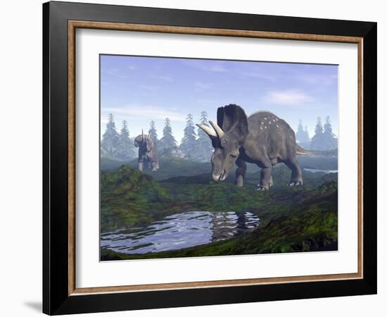 Two Nedoceratops Dinosaurs Walking to Water Puddle in the Morning Light-null-Framed Art Print