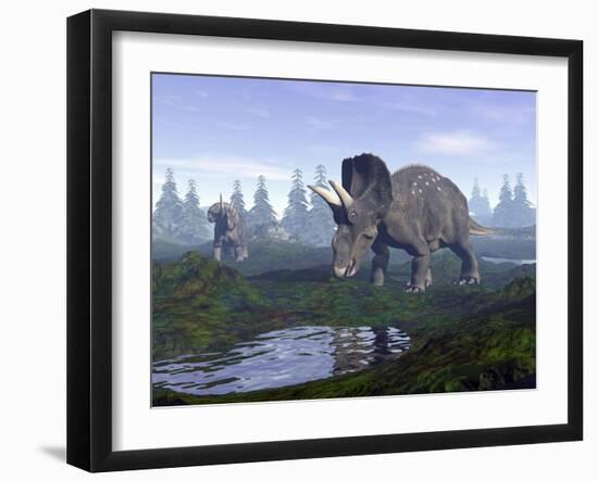 Two Nedoceratops Dinosaurs Walking to Water Puddle in the Morning Light-null-Framed Art Print