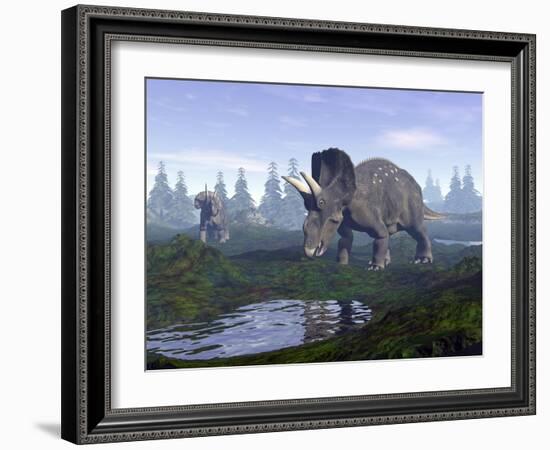 Two Nedoceratops Dinosaurs Walking to Water Puddle in the Morning Light-null-Framed Art Print