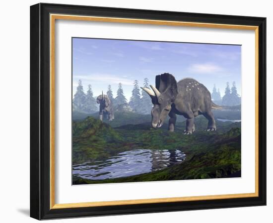 Two Nedoceratops Dinosaurs Walking to Water Puddle in the Morning Light-null-Framed Art Print