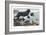 Two Newfoundlands-Louis Agassiz Fuertes-Framed Art Print