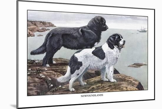 Two Newfoundlands-Louis Agassiz Fuertes-Mounted Art Print