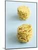 Two Noodle Nests-Dave King-Mounted Photographic Print