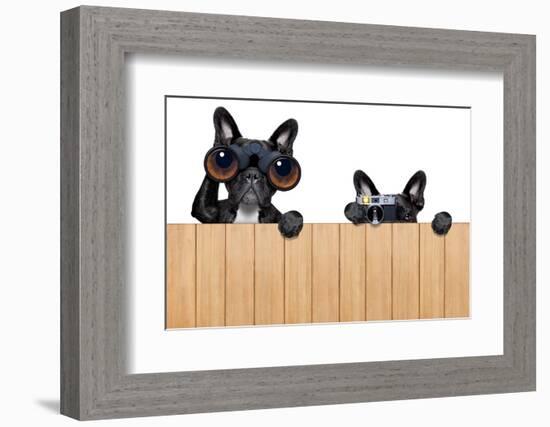 Two Nosy Dogs-Javier Brosch-Framed Photographic Print