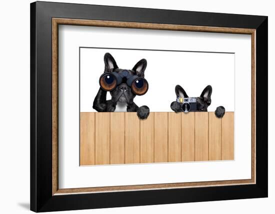 Two Nosy Dogs-Javier Brosch-Framed Photographic Print