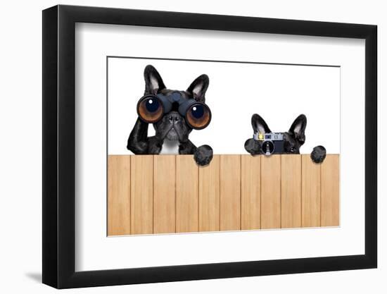 Two Nosy Dogs-Javier Brosch-Framed Photographic Print