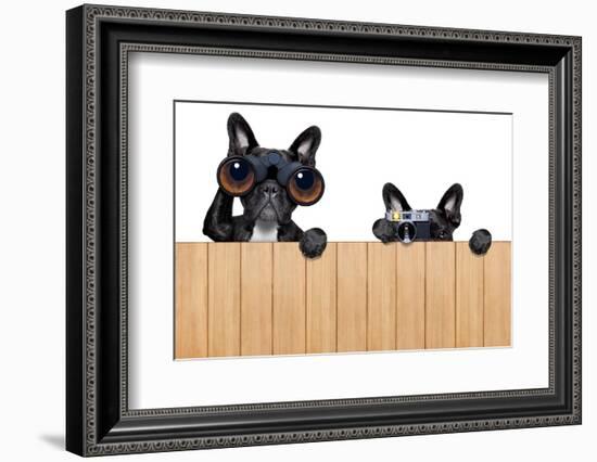 Two Nosy Dogs-Javier Brosch-Framed Photographic Print