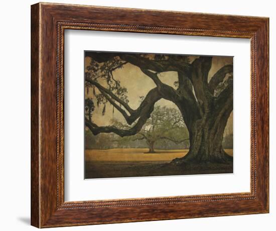 Two Oaks in Rain, Audubon Gardens-William Guion-Framed Giclee Print