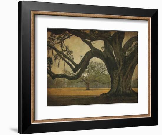 Two Oaks in Rain, Audubon Gardens-William Guion-Framed Giclee Print