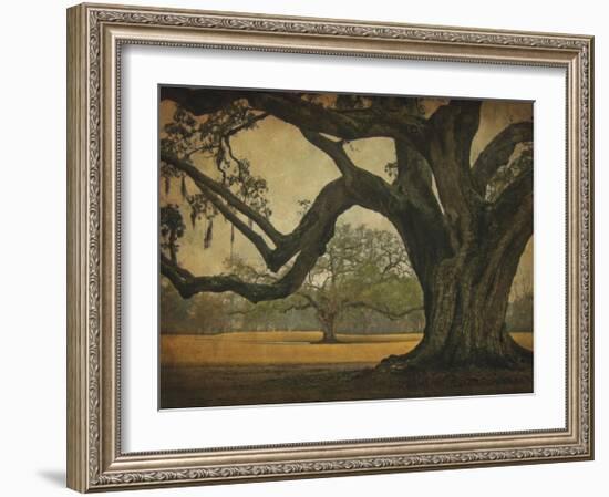 Two Oaks in Rain, Audubon Gardens-William Guion-Framed Giclee Print