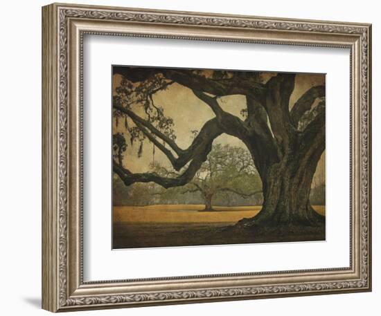 Two Oaks in Rain, Audubon Gardens-William Guion-Framed Art Print