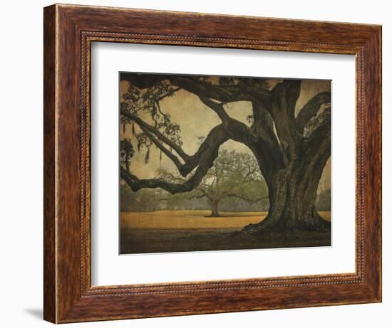 Two Oaks in Rain, Audubon Gardens-William Guion-Framed Art Print