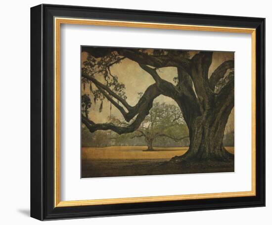 Two Oaks in Rain, Audubon Gardens-William Guion-Framed Art Print