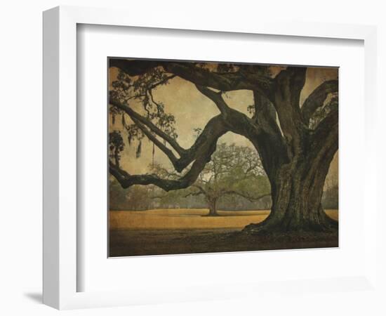 Two Oaks in Rain, Audubon Gardens-William Guion-Framed Art Print