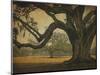 Two Oaks in Rain, Audubon Gardens-William Guion-Mounted Art Print