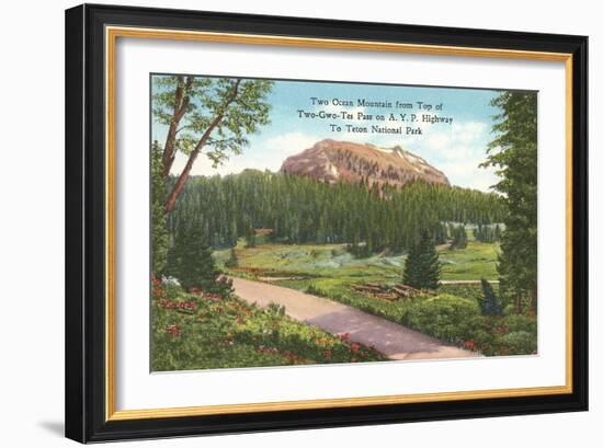 Two Ocean Moutain, the Tetons-null-Framed Art Print