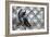 Two of a Feather II-Sydney Edmunds-Framed Giclee Print