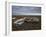 Two Old Boats on the Saltmarshes at Burnham Deepdale, Norfolk, England-Jon Gibbs-Framed Photographic Print