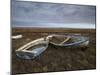 Two Old Boats on the Saltmarshes at Burnham Deepdale, Norfolk, England-Jon Gibbs-Mounted Photographic Print
