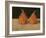 Two Orange Pumpkins, 2006-Raimonda Kasparaviciene Jatkeviciute-Framed Giclee Print