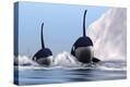 Stretched Canvas Print