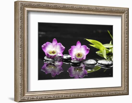 Two Orchid and Stones with Bamboo Green Leaf-crystalfoto-Framed Photographic Print