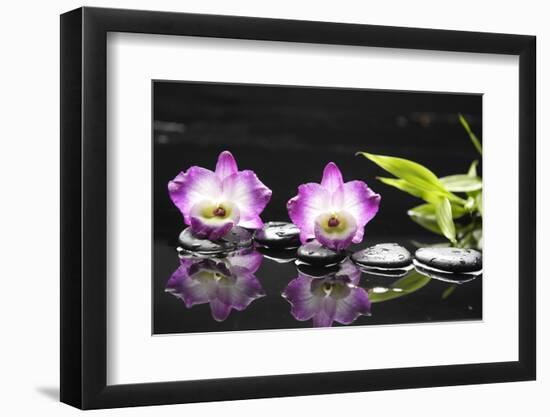 Two Orchid and Stones with Bamboo Green Leaf-crystalfoto-Framed Photographic Print