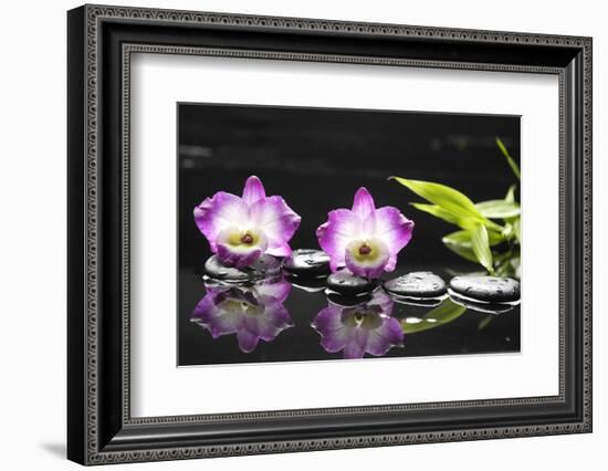 Two Orchid and Stones with Bamboo Green Leaf-crystalfoto-Framed Photographic Print