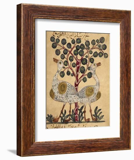 Two Ostriches-Aristotle ibn Bakhtishu-Framed Giclee Print