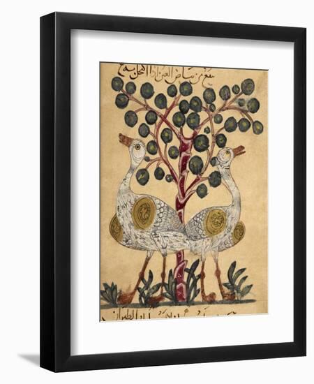 Two Ostriches-Aristotle ibn Bakhtishu-Framed Giclee Print