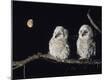 Premium Photographic Print