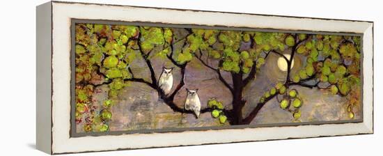 Two Owls in the Moon Light-Blenda Tyvoll-Framed Stretched Canvas