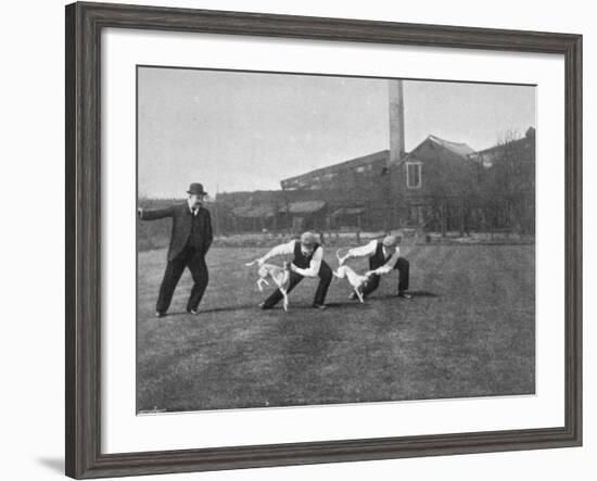 Two Owners Demonstrate How Whippets are Started in a Race : This Is known as 'Flapping'-null-Framed Photographic Print