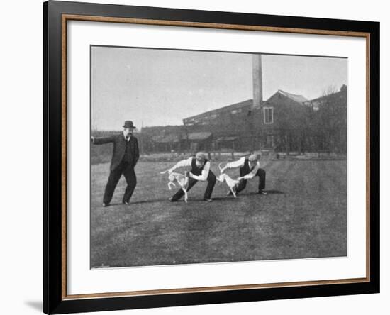 Two Owners Demonstrate How Whippets are Started in a Race : This Is known as 'Flapping'-null-Framed Photographic Print