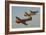 Two P-40 Warhawks and a P-51D Mustang Flying over Chino, California-Stocktrek Images-Framed Photographic Print