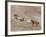 Two Paint Horses and a Grey Quarter Horse Running Up Hill, Flitner Ranch, Shell, Wyoming, USA-Carol Walker-Framed Photographic Print