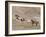 Two Paint Horses and a Grey Quarter Horse Running Up Hill, Flitner Ranch, Shell, Wyoming, USA-Carol Walker-Framed Photographic Print