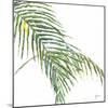 Two Palm Fronds II-Georgia Janisse-Mounted Art Print