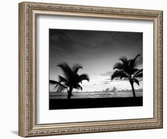 Two Palms BW-John Gusky-Framed Photographic Print