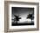 Two Palms BW-John Gusky-Framed Photographic Print