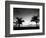 Two Palms BW-John Gusky-Framed Photographic Print